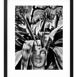 photographie 001-2