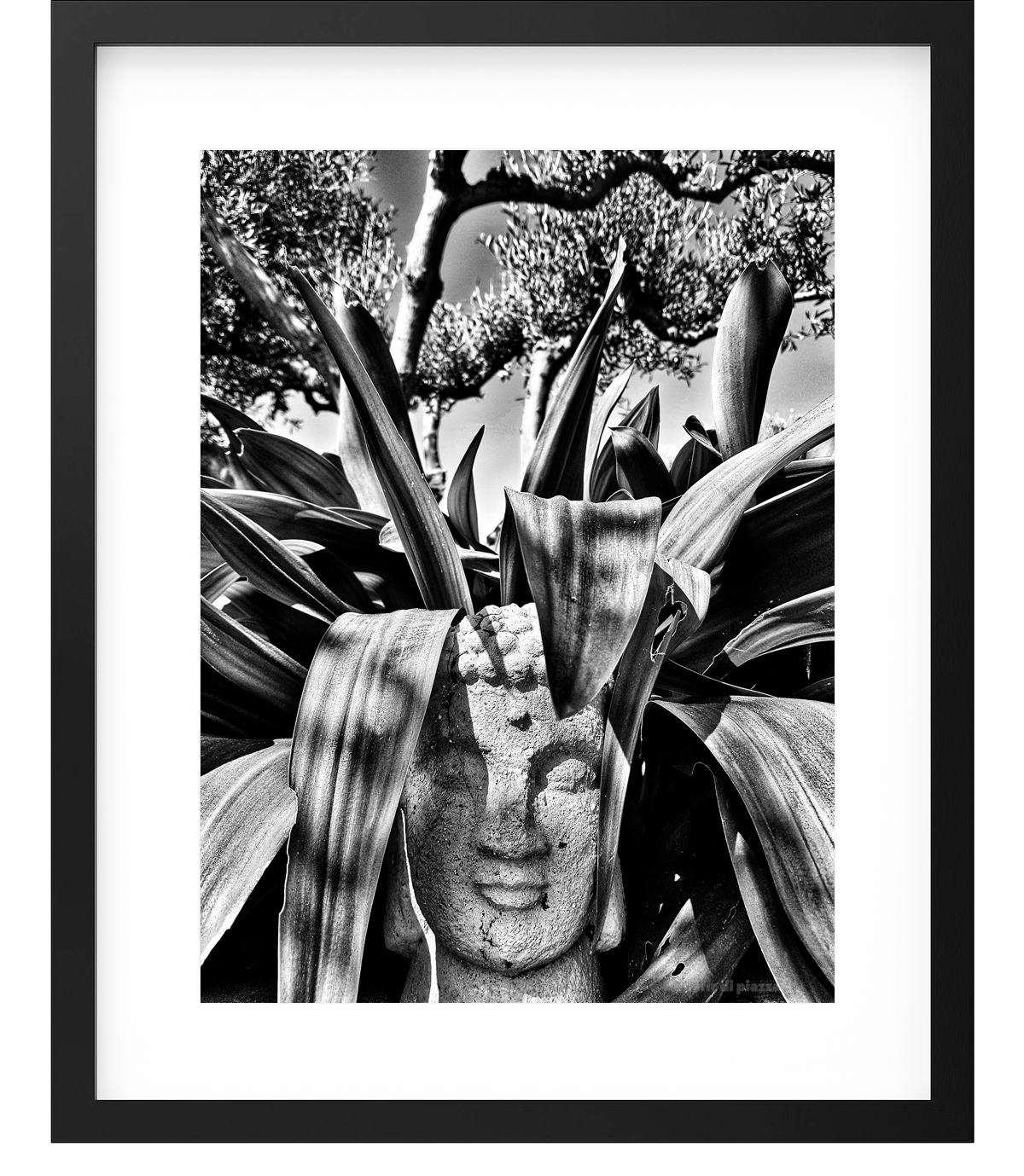 photographie 001-2