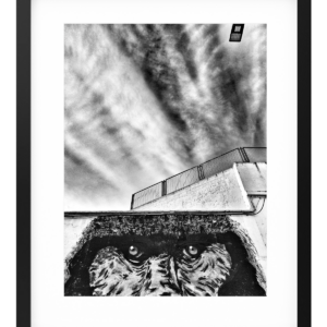 photographie 001-6
